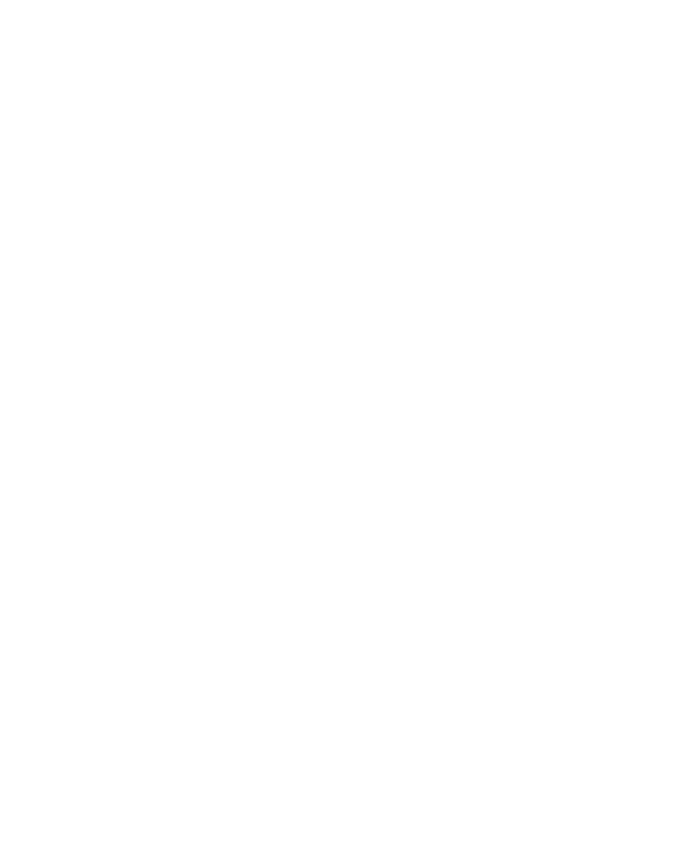 Chifa Loo